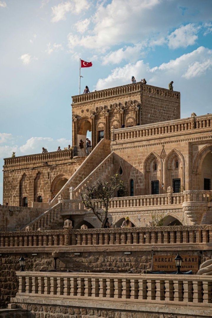 Immagine della Galleria