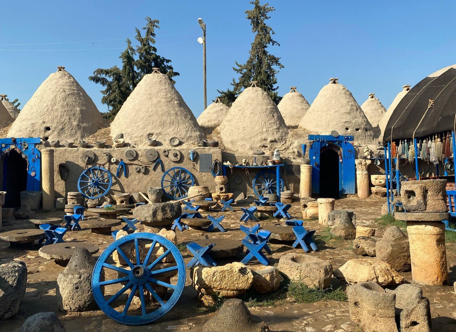 Immagine della Galleria